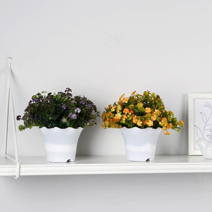 Бонсай в горшке Бонсай в горшке "Фрезия" 11х16 см, микс