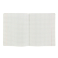 Комплект тетрадей из 10 штук, 24 листа в клетку КПК "Зелёная обложка", блок офсет, 58-62 г/м&sup2;, белизна 90%