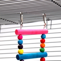 Игрушка для птиц" Лесенка с бусинками" 8 ступеней, микс цветов Игрушка для птиц" Лесенка с бусинками" 8 ступеней, микс цветов