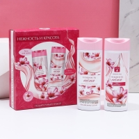 Подарочный набор косметики &laquo;Нежность и красота&raquo;, гель для душа и пена для ванны, 2 х 250 мл, ЧИСТОЕ СЧАСТЬЕ