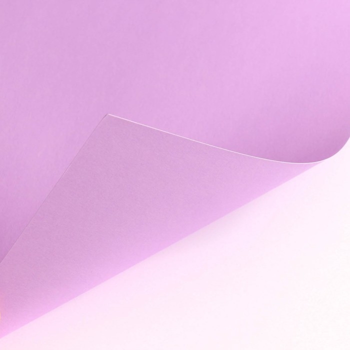 Картон цветной тонированный, А4, 8 листов, 8 цветов, немелованный, двусторонний, в пакете, 180 г/м&sup2;, Холодное сердце