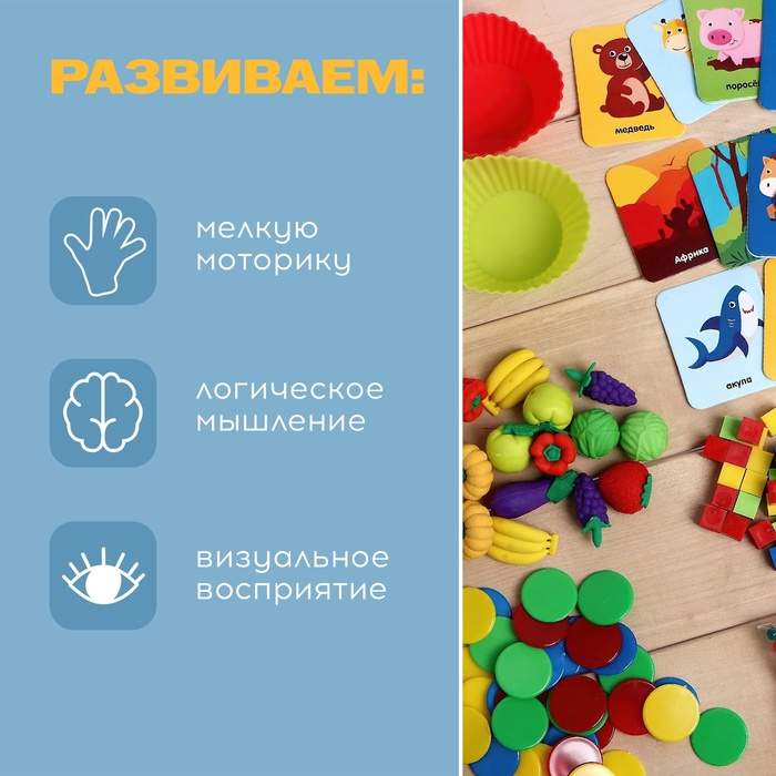 Большой набор &laquo;Для сортировки&raquo;