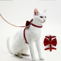 Комплект амуниции "Шахматный джентельмен", поводок 120 х 1 см, красный