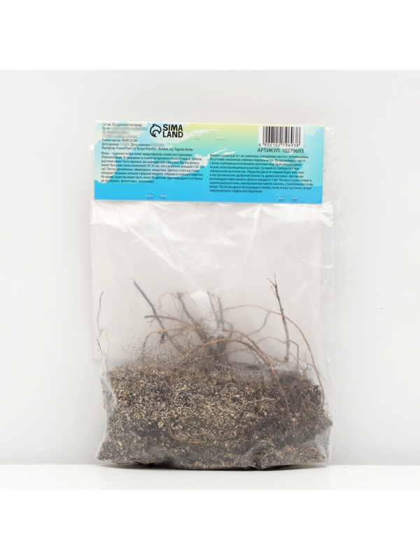 Флокс &laquo;Роза Пастелла&raquo; корневище в пакете с торфогрунтом, р-р I, 2 шт.