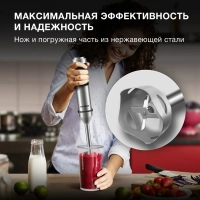 Блендер погружной HYB-H5231 1200Вт черный