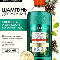 Мужской шампунь 2 в 1, 250 мл