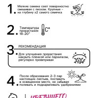 Семена цветов Пиретрум "Гиганты Робинсона", Смесь, 0,1 г