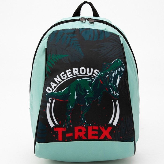 Рюкзак школьный детский для мальчика &laquo;Динозавр&raquo;, 20&times;13&times;26 см, отдел на молнии, зелёный