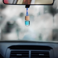 Ароматизатор в автомобиль на 23 Февраля (2 шт) &laquo;Настоящему мужчине&raquo;, аромат: океан, новая машина