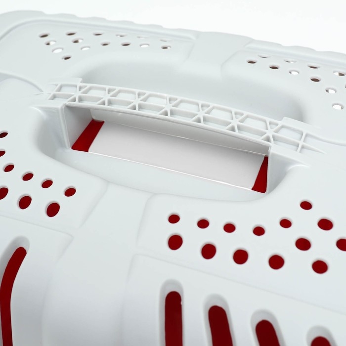 Переноска для животных пластиковая 47 х 30 х 35 см, вес до 9 кг, красная