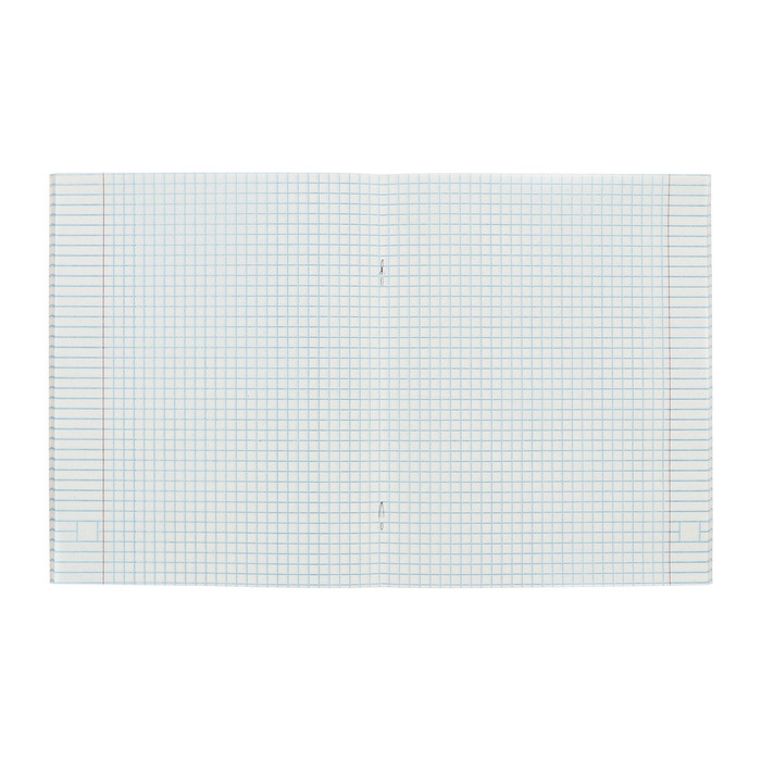 Комплект тетрадей из 5 штук, 48 листов в клетку Calligrata Комплект тетрадей из 5 штук, 48 листов в клетку Calligrata "Дерзкий енот", обложка мелованный картон, блок офсет