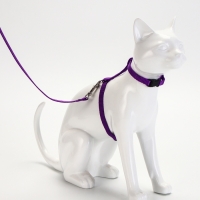 Комплект для кошек, ширина 1 см, ОШ 16,5-27 см, ОГ 21-35 см, поводок 120 см, фиолетовый