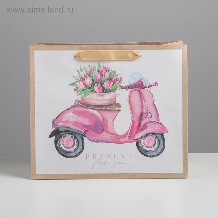 Пакет подарочный крафтовый горизонтальный, упаковка, «Present for you», ML 27 х 23 х 11,5 см Пакет подарочный крафтовый горизонтальный, упаковка, «Present for you», ML 27 х 23 х 11,5 см