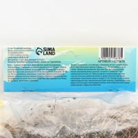 Флокс &laquo;Наташа&raquo; корневище в пакете с торфогрунтом, р-р I, 2 шт.