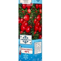 Клюква крупноплодная (Серия Северный Сад) "Пилигрим" 1 шт, туба, Весна 2025