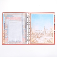 Папка школьная на кольцах &laquo;Портфолио школьника&raquo;, 10 листов-разделителей, 24,5 х 32 см.