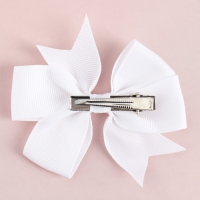 Подарочный набор в чемоданчике: заколка и блок листов &laquo;Волшебный Подарочный набор для девочек&raquo;