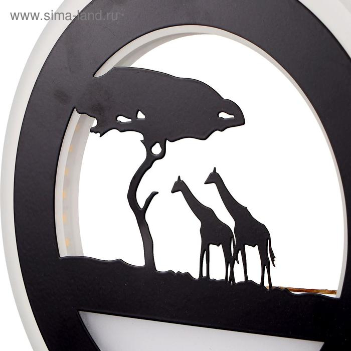 Бра Бра "Жирафы" LED 24Вт 3000-4000К черный 22х3,8х22 см