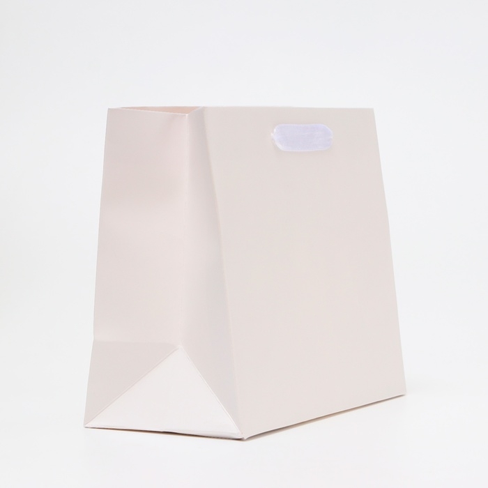 Пакет подарочный ламинированный &laquo;Белый&raquo;, MS 23&times;18&times;10 см