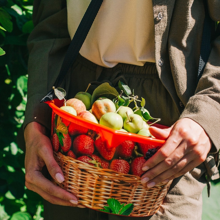 Ёмкость для сбора ягод, 3 л, &laquo;Корзина&raquo;, красная