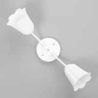 Люстра "Онлайн" (цветок) 2х15Вт Е27 МОДЕЛЬ: BR 00196 белый Люстра "Онлайн" (цветок) 2х15Вт Е27 МОДЕЛЬ: BR 00196 белый