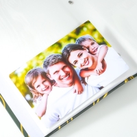 Фотоальбом на 300 фото 10х15 см "Золотые растения" золото 33,5х17,5х5 см Фотоальбом на 300 фото 10х15 см "Золотые растения" золото 33,5х17,5х5 см