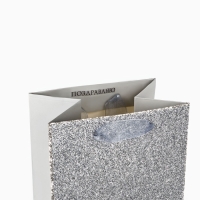 Пакет под бутылку &laquo;Поздравляю&raquo;, глиттер, 13 х 36 х 10 см