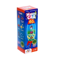 Набор для опытов Живой сад &laquo;Ракета&raquo; МИКС