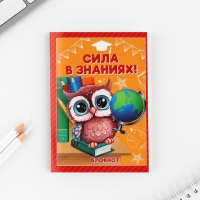 Подарочный набор на выпускной: Блокнот А6, 32л, наклейки и магнитные закладки 2 шт &laquo;Совята&raquo;