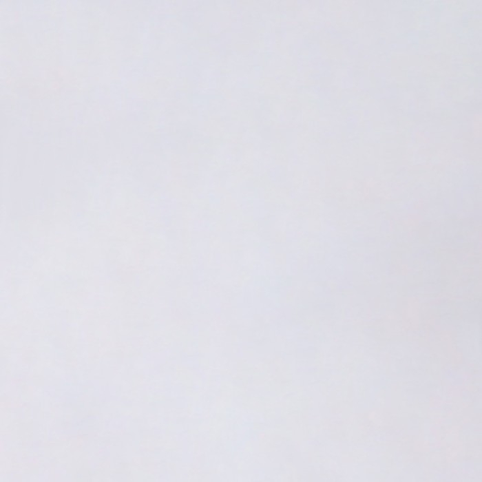 Плёнка для цветов упаковочная тишью влагостойкая &laquo;Белый&raquo;, 0.6 x 8 м, 30мкм