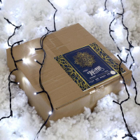 Гирлянда &laquo;Занавес&raquo; 2 &times; 6 м, IP44, УМС, тёмная нить, 1440 LED, свечение белое, 220 В