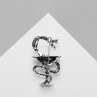 Брошь &laquo;Змея в геральдике&raquo; медицина, цвет чернёное серебро