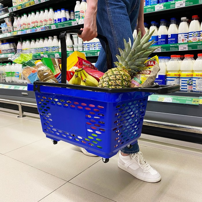 Корзина-тележка на 4 колесах пластиковая, 28 л, с 2 пластиковыми ручками, цвет синий Корзина-тележка на 4 колесах пластиковая, 28 л, с 2 пластиковыми ручками, цвет синий