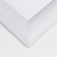 Фоторамка пластик "МИРАМ" 15х21 см 647261-6, белый (пластиковый экран)