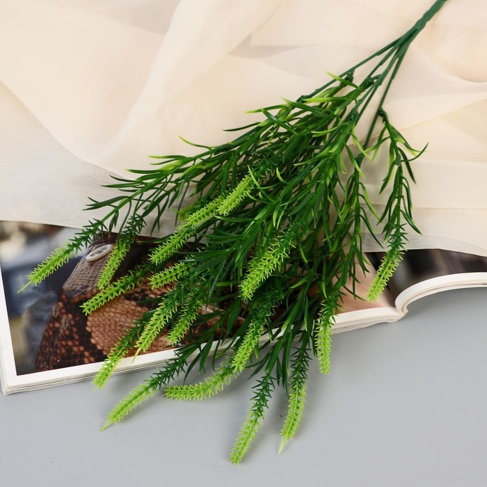 Букет Букет "Лиатрис" 36 см, микс