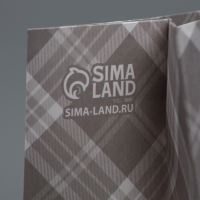 Пакет подарочный крафтовый с пластиковым окном, упаковка, &laquo;Мужской&raquo;, 31 х 26 х 10 см