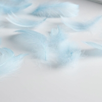 Наполнитель для шаров и подарков, упаковка, «С наилучшими пожеланиями» , 15 х 11 см Наполнитель для шаров и подарков, упаковка, «С наилучшими пожеланиями» , 15 х 11 см