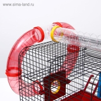 Клетка для грызунов "Хома 4", 55 x 37 x 42 см, микс цветов Клетка для грызунов "Хома 4", 55 x 37 x 42 см, микс цветов