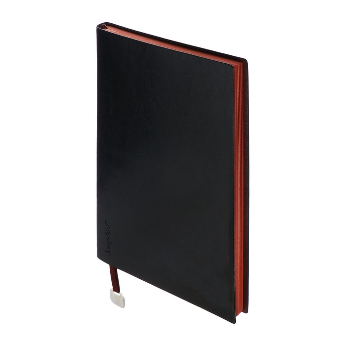 Органайзер на кольцах, А5, 116л, клетка, обл.кожзам, коричневый срез, Черный