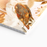 Блокнот &laquo;Дорогому учителю&raquo;, на гребне, А6, 40 листов