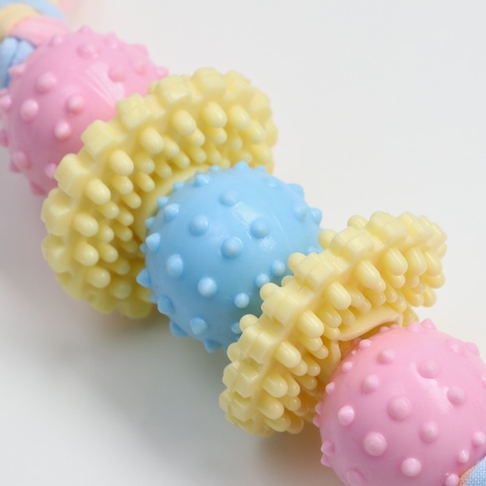 Игрушка жевательная Пижон Premium на верёвке, 5 элементов, термопластичная резина, микс Игрушка жевательная Пижон Premium на верёвке, 5 элементов, термопластичная резина, микс