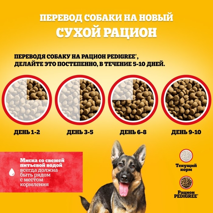 Сухой корм Pedigree для собак крупных пород, говядина, 13 кг