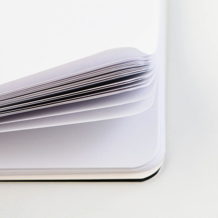 Канцелярский набор блокнот 48 листов + ручка &laquo;Отличной учёбы&raquo;, 13,5 см х 15 см.