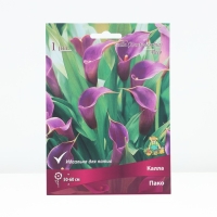 Калла Пако, р-р 14/16, 1 шт, Весна 2025