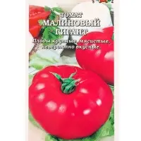 Семена Томат Малиновый гигант /Сотка/ 0,1 г; с/с, инд, 500гр/*1500