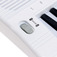 Синтезатор &laquo;Музыкант&raquo; с микрофоном, 49 клавиш, работает от сети и от батареек