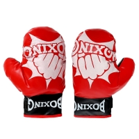 Набор для бокса &laquo;Техника удара&raquo;