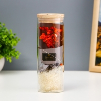 Ночник колба "Букет из красных цветов" LED от батареек LR1130 6,5х6,5х19 см RISALUX