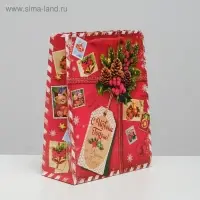 Пакет подарочный новогодний ламинированный &laquo;Подарок от Деда Мороза&raquo;, MS 18 х 23 х 11.5 см