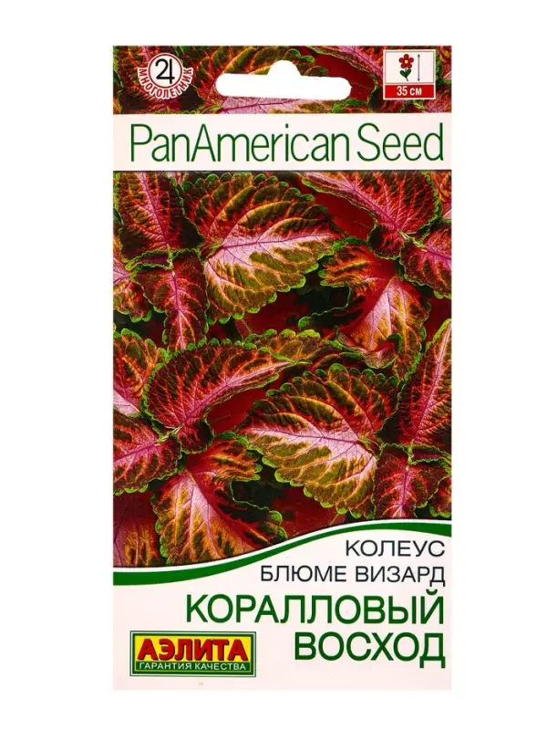 Семена цветов Колеус блюме Коралловый восход Мн Спецсерия PanAmerican, Ц/П,5 шт.